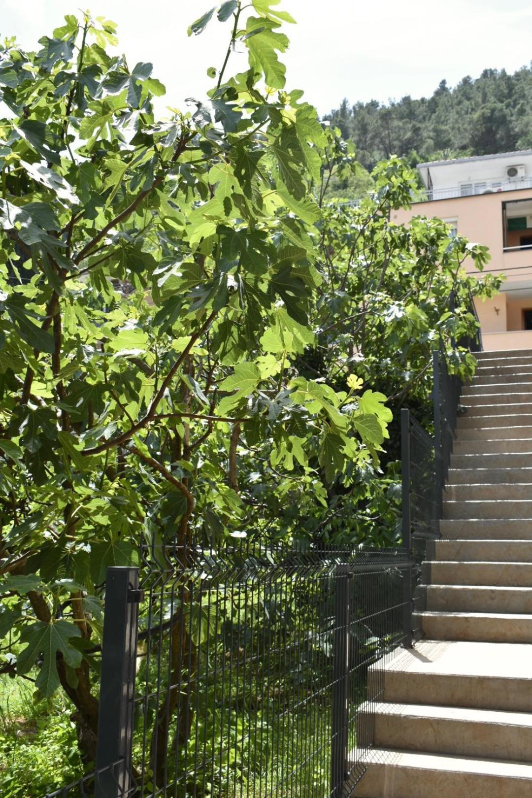 Bel Apartment Mostar Esterno foto